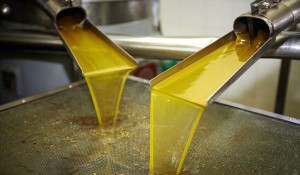 non-newtonian fluids In mixing