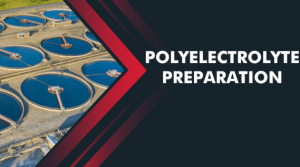 Polyelectrolyte Preparation