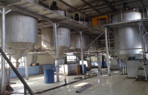 palm oil fractionation equipment